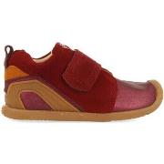 Saappaat Gioseppo  starse  19
