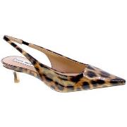 Korkokengät Steve Madden  92486  36