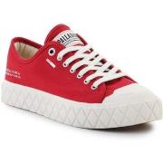 Kengät Palladium  Palla Ace Cvs Org 74447-656-M Chili Pepper  36