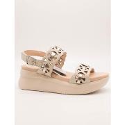 Sandaalit CallagHan  29926 Floty  36