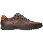 Tennarit Mephisto  Leon  47 1/2