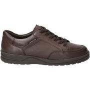 Tennarit Mephisto  Raphy  45
