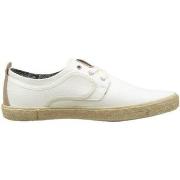 Kengät TBS  Baskets  39