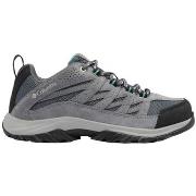 Kengät Columbia  CRESTWOOD W Gris  36