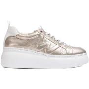 Tennarit Wonders  Dorita  41