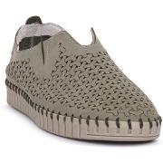 Kengät Frau  NABUK SALVI  38