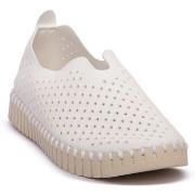 Kengät Ilse Jacobsen  JACOBSEN WHI TULIP 3275  36