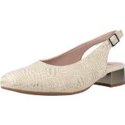 Kengät Pitillos  10451P  39