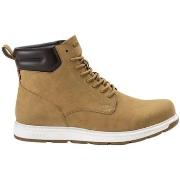 Kengät Levis  235884-794  40