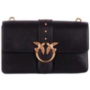 Olkalaukut Pinko  105857 A0F1  Yksi Koko