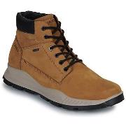 Kengät IgI&CO  U.ELOY GTX  42