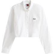 Paitapusero / Kauluspaita Tommy Hilfiger  TJW REG CROP STRIPE DW0DW214...