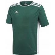 Lyhythihainen t-paita adidas  JR Entrada 18  EU XXS