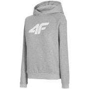 Svetari 4F  BLD023  EU M