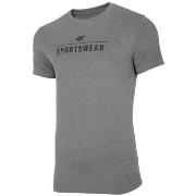 Lyhythihainen t-paita 4F  TSM005  EU M