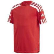 Lyhythihainen t-paita adidas  JR Squadra 21  EU L