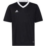 Lyhythihainen t-paita adidas  Entrada 22 Jsy  EU S