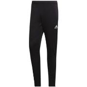 Housut adidas  Entrada 22  EU XXL