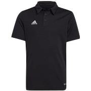 Lyhythihainen t-paita adidas  Entrada 22  EU S
