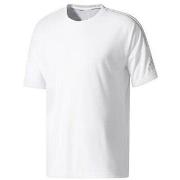 Lyhythihainen t-paita adidas  Zne Tee White  EU M