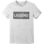 Lyhythihainen t-paita 4F  JTSM005  Yksi Koko