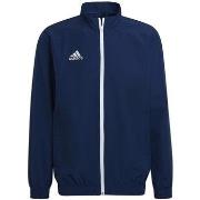 Svetari adidas  Entrada 22 Presentation  EU L