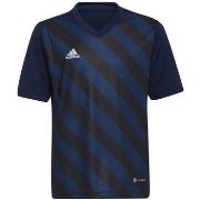 Lyhythihainen t-paita adidas  Entrada 22 Graphic Jersey  EU XS