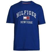Lyhythihainen t-paita Tommy Hilfiger  MW0MW28218C7L  EU L