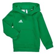 Svetari adidas  ENT22 HOODY Y  EU XL