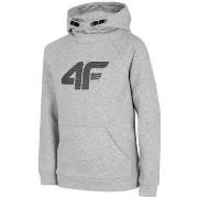 Svetari 4F  JBLM002  Yksi Koko