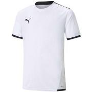 Lyhythihainen t-paita Puma  Teamliga Jersey Junior  EU S