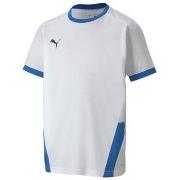Lyhythihainen t-paita Puma  Teamgoal 23 Jersey  EU S