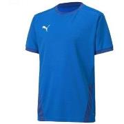 Lyhythihainen t-paita Puma  Teamgoal 23 Jersey  EU M