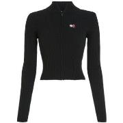 Neulepusero Tommy Hilfiger  DW0DW17243BDS  EU L