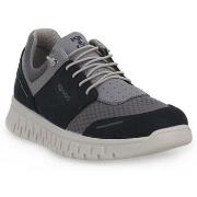 Kengät IgI&CO  5623400  42