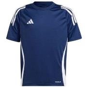 Lyhythihainen t-paita adidas  Tiro 24 Jersey Jr  EU S