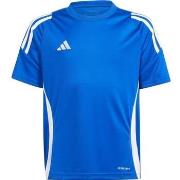 Lyhythihainen t-paita adidas  Tiro 24  EU S