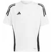 Lyhythihainen t-paita adidas  Tiro 24 Jersey Jr  EU S