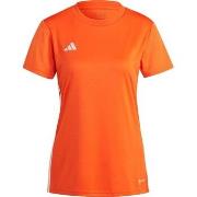 Lyhythihainen t-paita adidas  IB4929  EU XXL