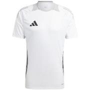 Lyhythihainen t-paita adidas  Tiro 24 Competition  EU XXL