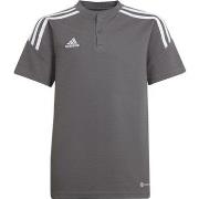 Lyhythihainen t-paita adidas  Condivo 22  EU S