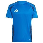 Lyhythihainen t-paita adidas  IQ4759  EU XXL