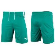 7/8 ja 3/4 housu Puma  70492405  EU L