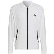 Svetari adidas  Stretch Woven  EU L