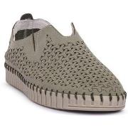 Kävelykengät Frau  Salvi  38