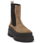 Kengät Steve Madden  TAUPE CASSANDRA  38