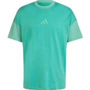 Lyhythihainen t-paita adidas  JJ3676  EU XXL