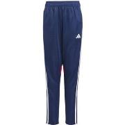 Jogging housut / Ulkoiluvaattee adidas  JD0576  EU S