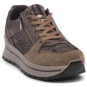 Tennarit IgI&CO  ANIKA BRONZO  36