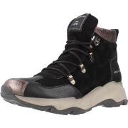 Kengät Hispanitas  CHI254323  36